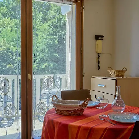 Daire Moderne Avec Balcon Et Animaux Admis - Fr-1-841-50