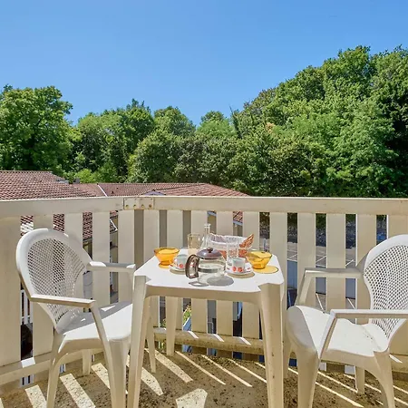 Moderne Avec Balcon Et Animaux Admis - Fr-1-841-50 Barbotan-les-Thermes