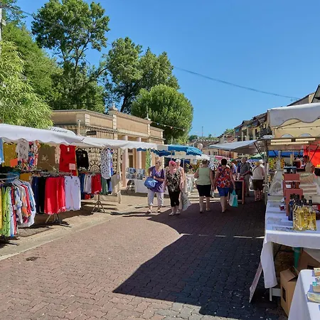 Moderne Avec Balcon Et Animaux Admis - Fr-1-841-50 Daire